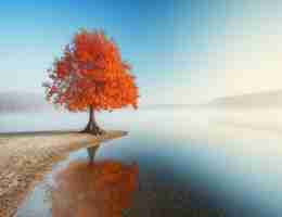 kubernetes权﻿威‍指‍南‌pdf